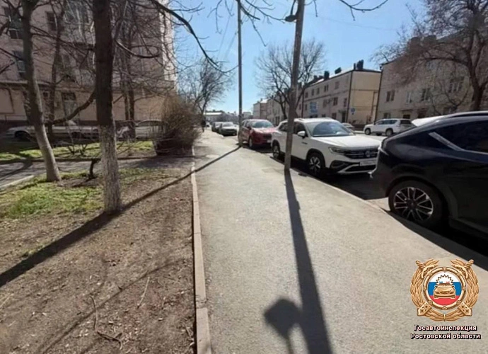 Фото: Госавтоинспекции Ростовской области 