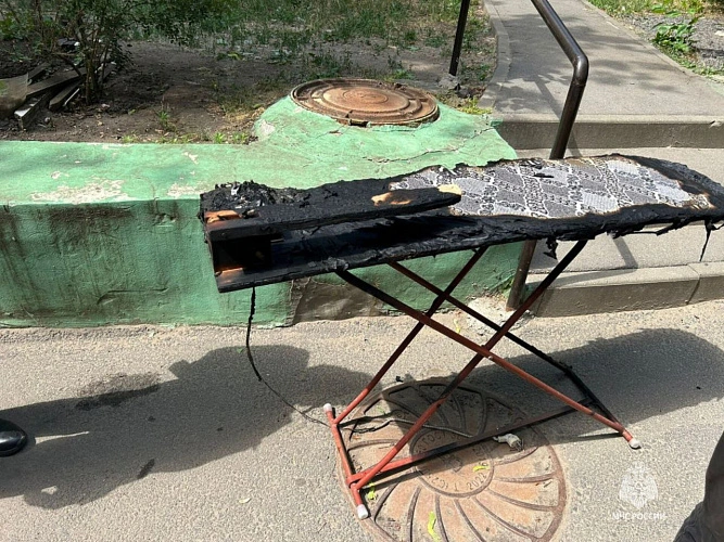 Фото: ГУ МЧС РФ по РО