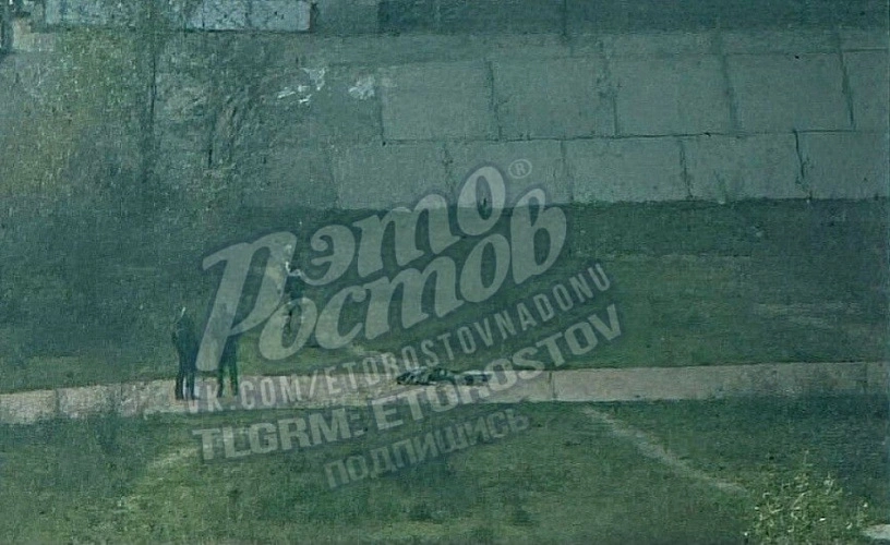 Фото: Это Ростов новости / Telegram.org