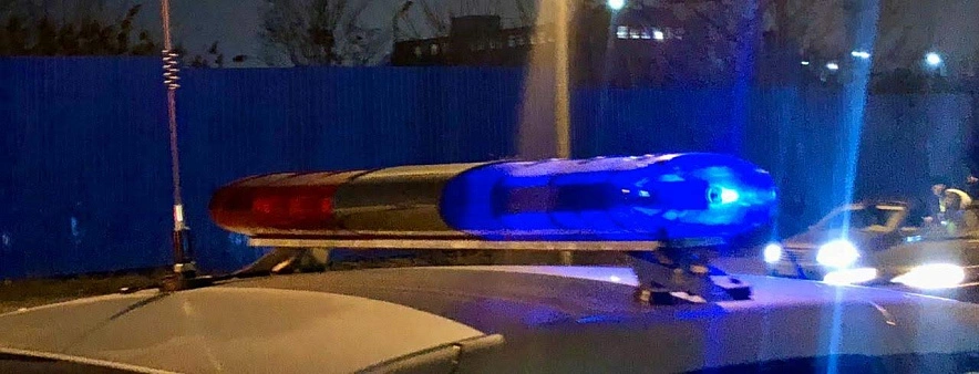 Фото: Включенные спецсигналы полицейской машины, кадр из архива 1rnd