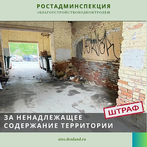 Фото: Административная инспекция РО