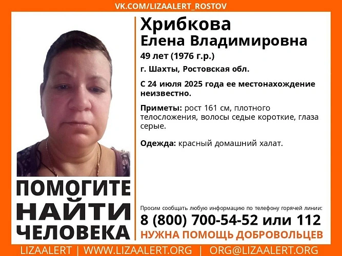 Фото: ЛизаАлерт Ростовской области 