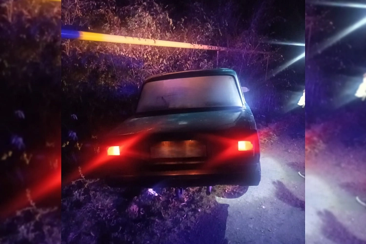 Фото: МВД по Ростовской области 