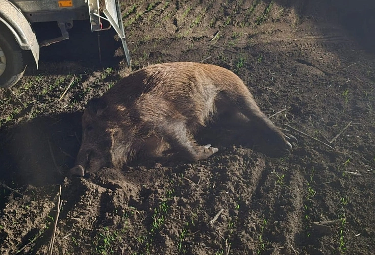 Фото: из архива Минприроды Ростовской области