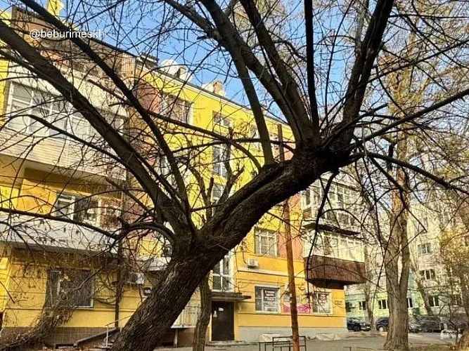Фото: ТГ канала Бебури Месхи