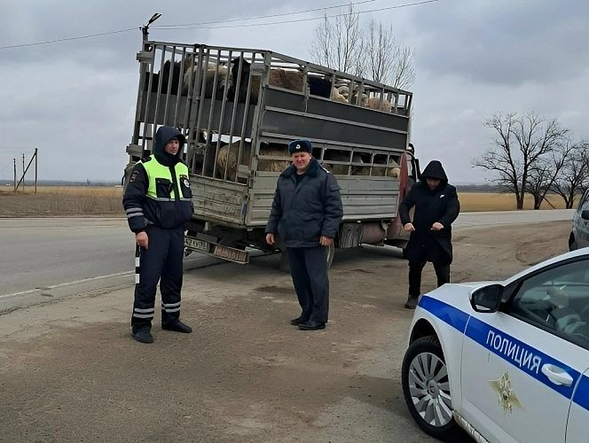 Фото:  Управление Россельхознадзора по РВАОиРК