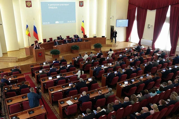 Фото: Правительство Ростовской области 