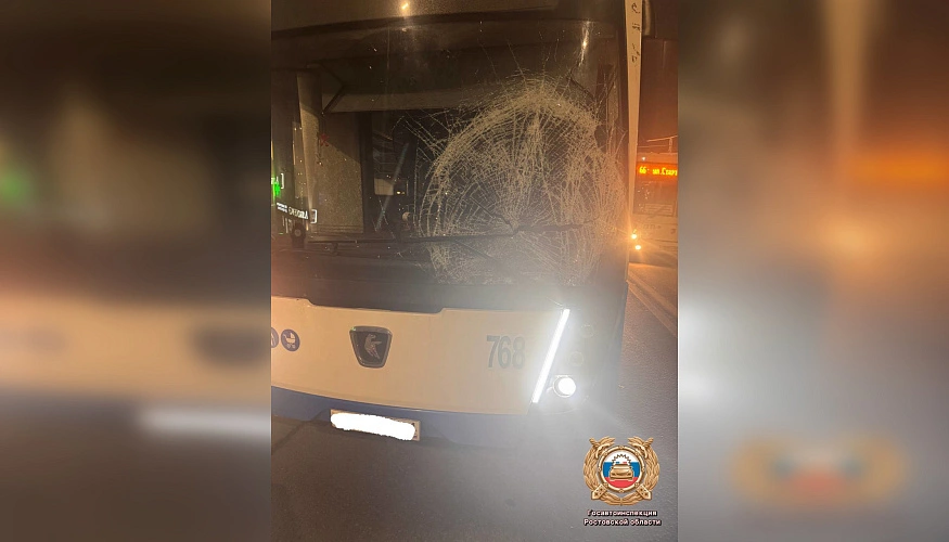 Фото: Госавтоинспекции Ростовской области 