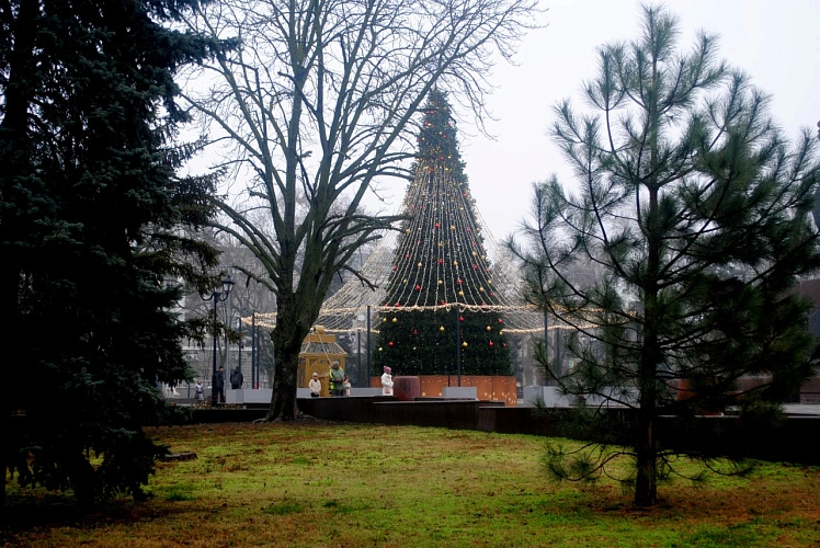 Фото: В Ростове под Новый год пропал 20-летний парень // фото 1rnd