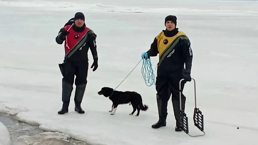 Фото: ГКУ РО «ПСС ВВ ТМ»