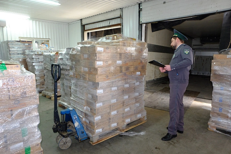 Фото:  Управление Россельхознадзора по РВАОиРК