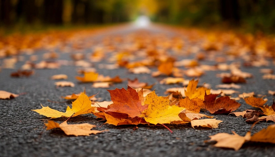 Фото: сгенерировано нейросетью Шедеврум