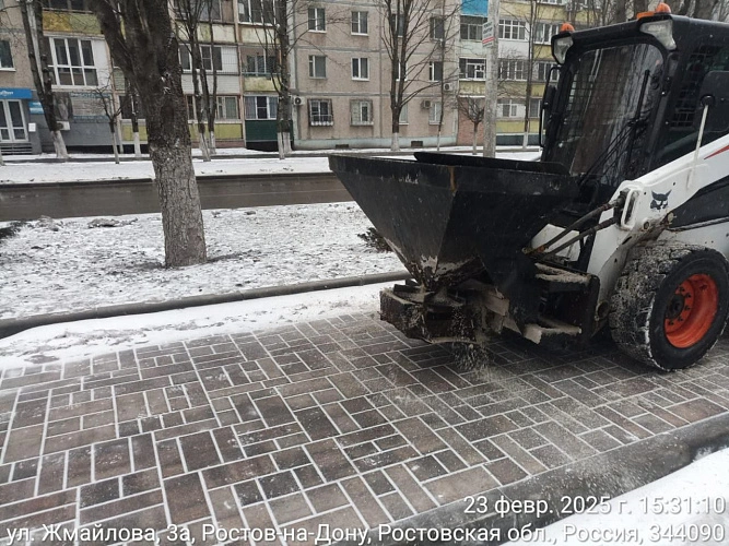 Фото: пресс-службы мэрии Ростова