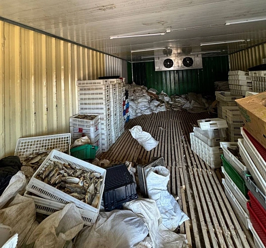 Фото: МВД по Ростовской области 