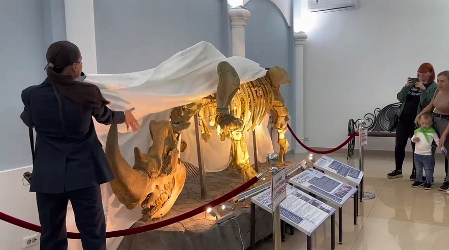 Фото: Ростовский-на-Дону зоопарк