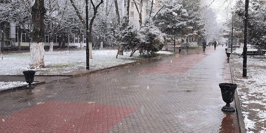 Фото: Пушкинская в Ростове во время мокрого снега, кадр 1rnd