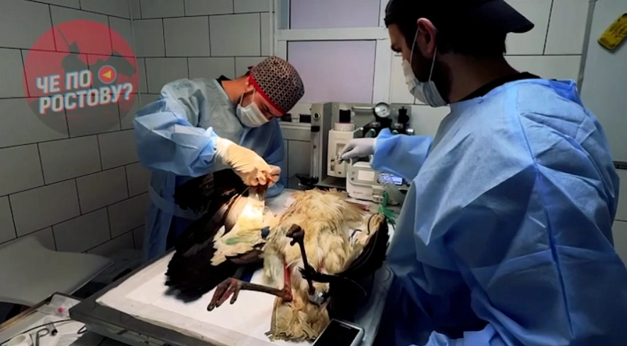 Фото: ТГ канала «Че по Ростову?»