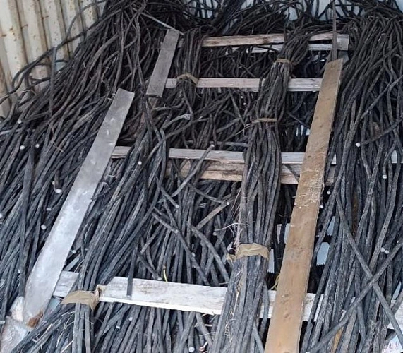 Фото: ГУ МВД России по Ростовской области