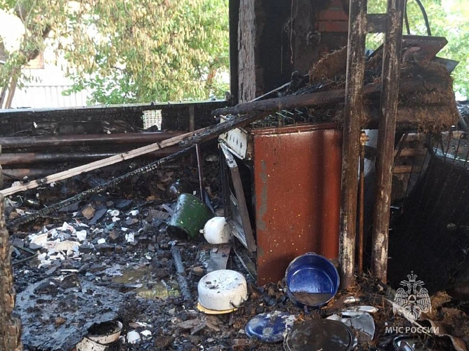 Фото: кадр донского МЧС