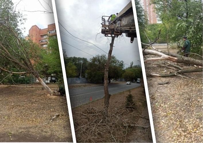 Фото: Администрация Ростова