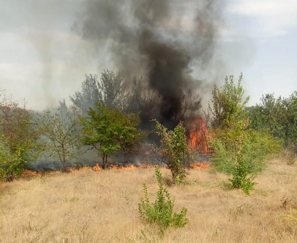 Фото: кадр 1Rnd