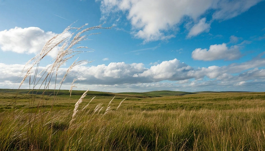 Фото: сгенерировано нейросетью Шедеврум
