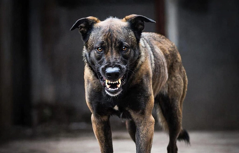 Фото: Нейросеть