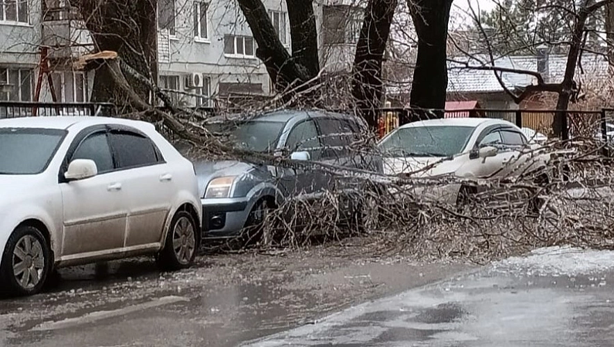 Фото: Заледеневшая ветка упала на припаркованные машины в Ростове, кадр очевидца