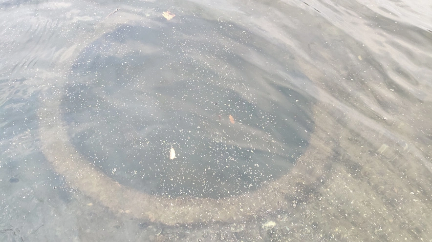 Фото: Поисковый отряд "Память"