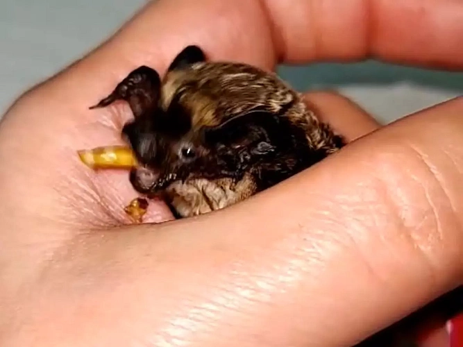 Фото: Ольга Жураковская/DonDay 