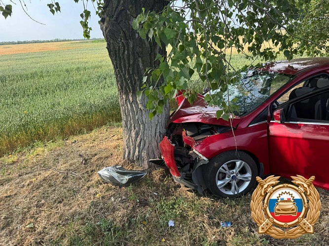 Фото: кадр донской Госавтоинспекции