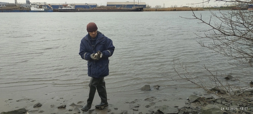 Фото:  ГКУ РО "ПСС ВВ ТМ"