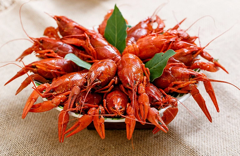 Фото: ДонКод