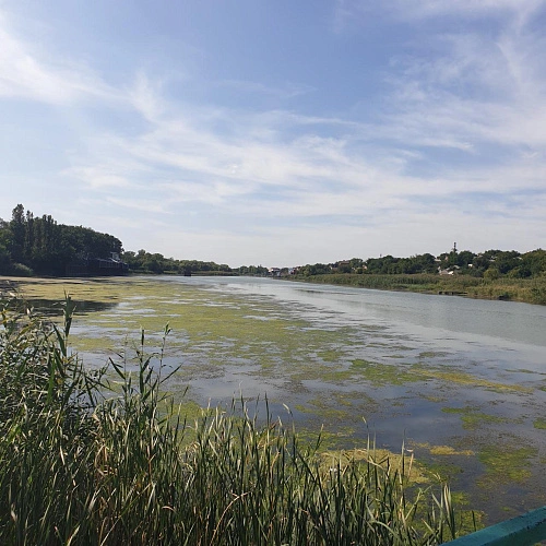 Фото: из архива Минприроды Ростовской области