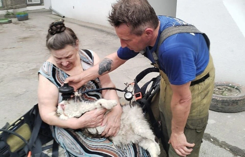 Фото: Кошка, спасённая на пожаре в Ростове, кадр МЧС РО