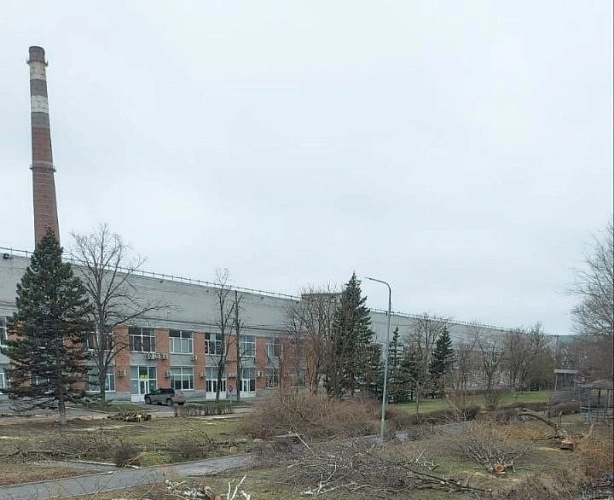 Фото: вырубка деревьев на ГПЗ-10 \\ фото очевидцев