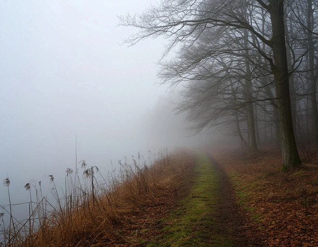 Фото: Изображение сгенерировано нейросетью 