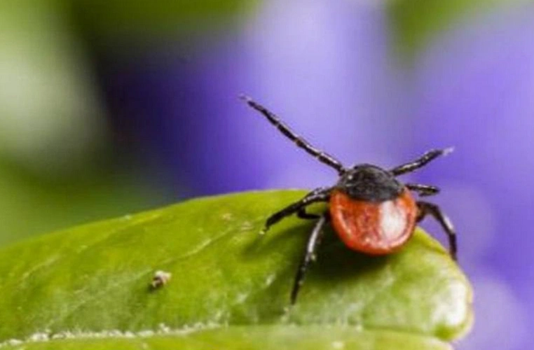 Фото: Управления Роспотребнадзора по Ростовской области