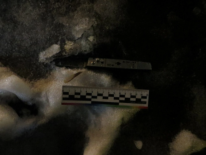 Фото: ГУ МВД РФ по РО