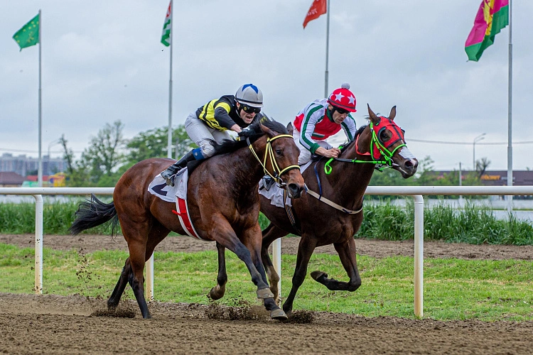 Фото: ИППОДРОМЫ РОССИИ