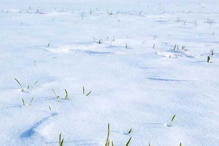 Фото: Правительство Ростовской области 