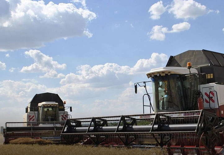 Фото: из архива Правительства Ростовской области 