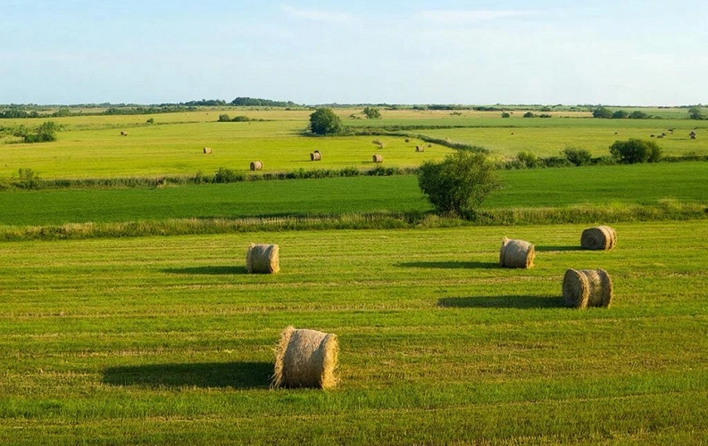 Фото: Нейросеть