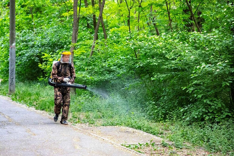 Фото: пресс-служба администрации города Ростова-на-Дону
