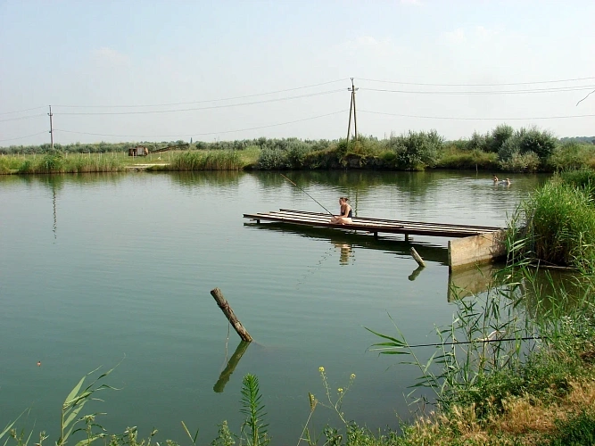 Фото: В Ростовской области у 16 человек обнаружили лихорадку Западного Нила // фото 1rnd