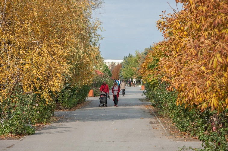 Фото: соцсети администрации Веселовского района