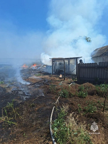 Фото: пресс-служба МЧС по РО