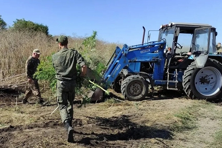 Фото: Правительство Ростовской области 