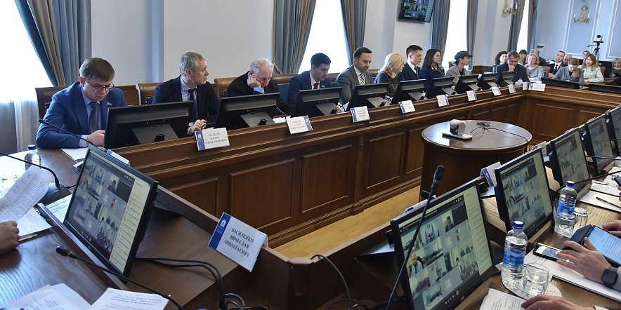 Фото: Заседание круглого стола ЗС по бездомным животным, кадр пресс-службы