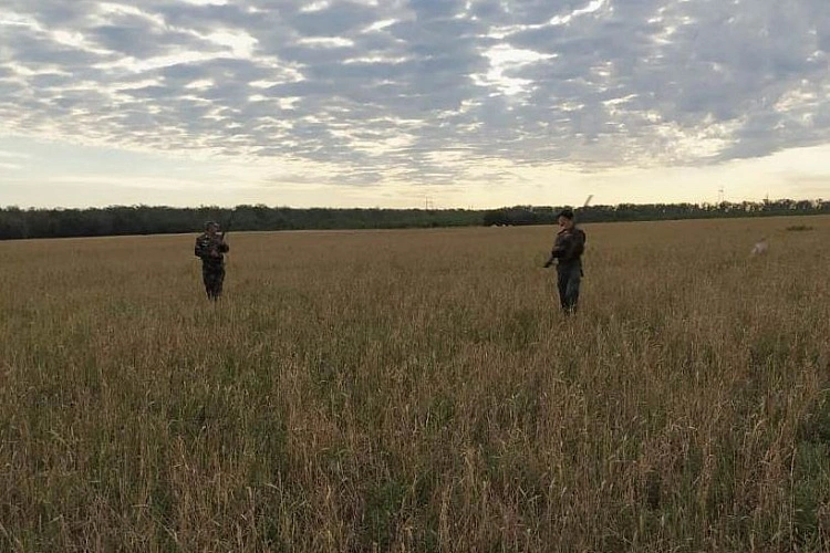 Фото: Правительства Ростсовской области.